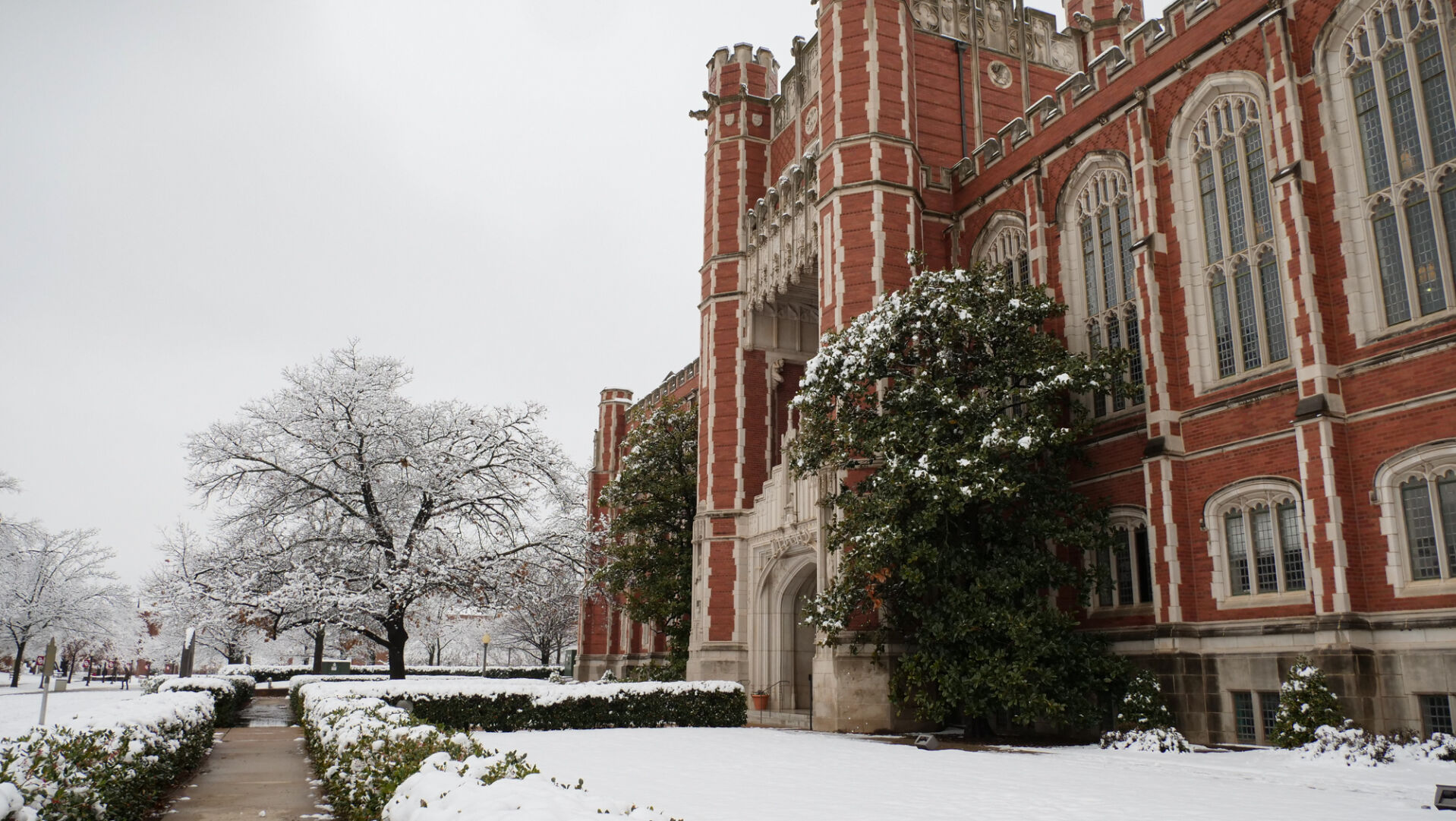 Snow by Bizzell Memorial Library